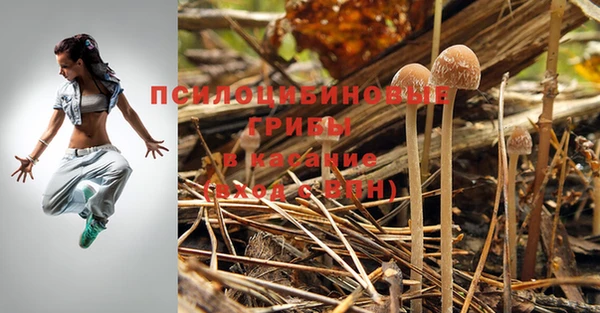 дурь Ладушкин